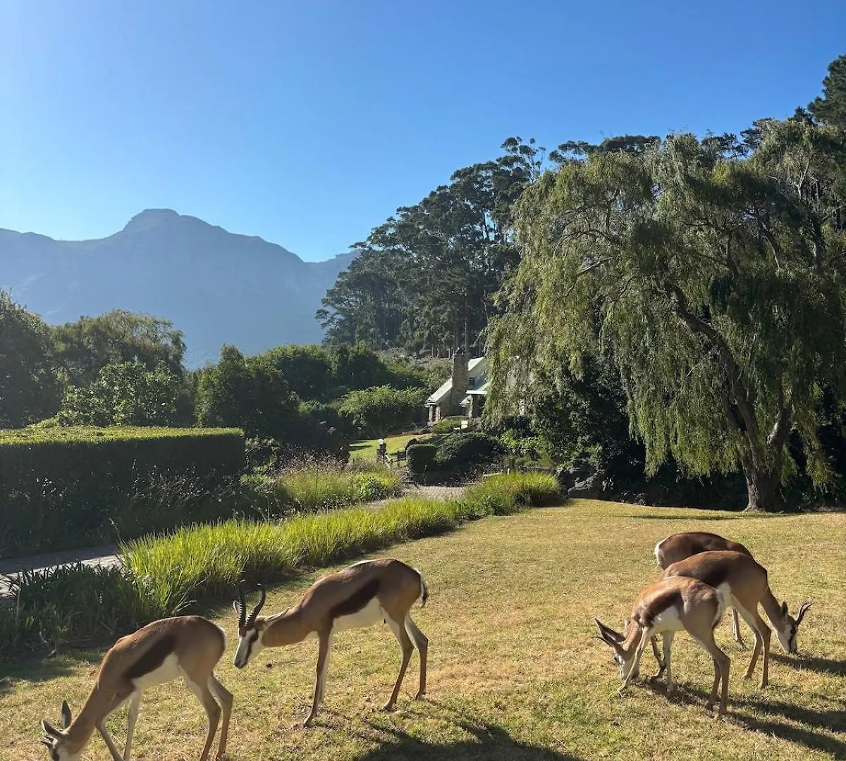 Holiday home Houtkapperspoort-Cottage King Protea-19Constantia-Nek Cape Town South Africa